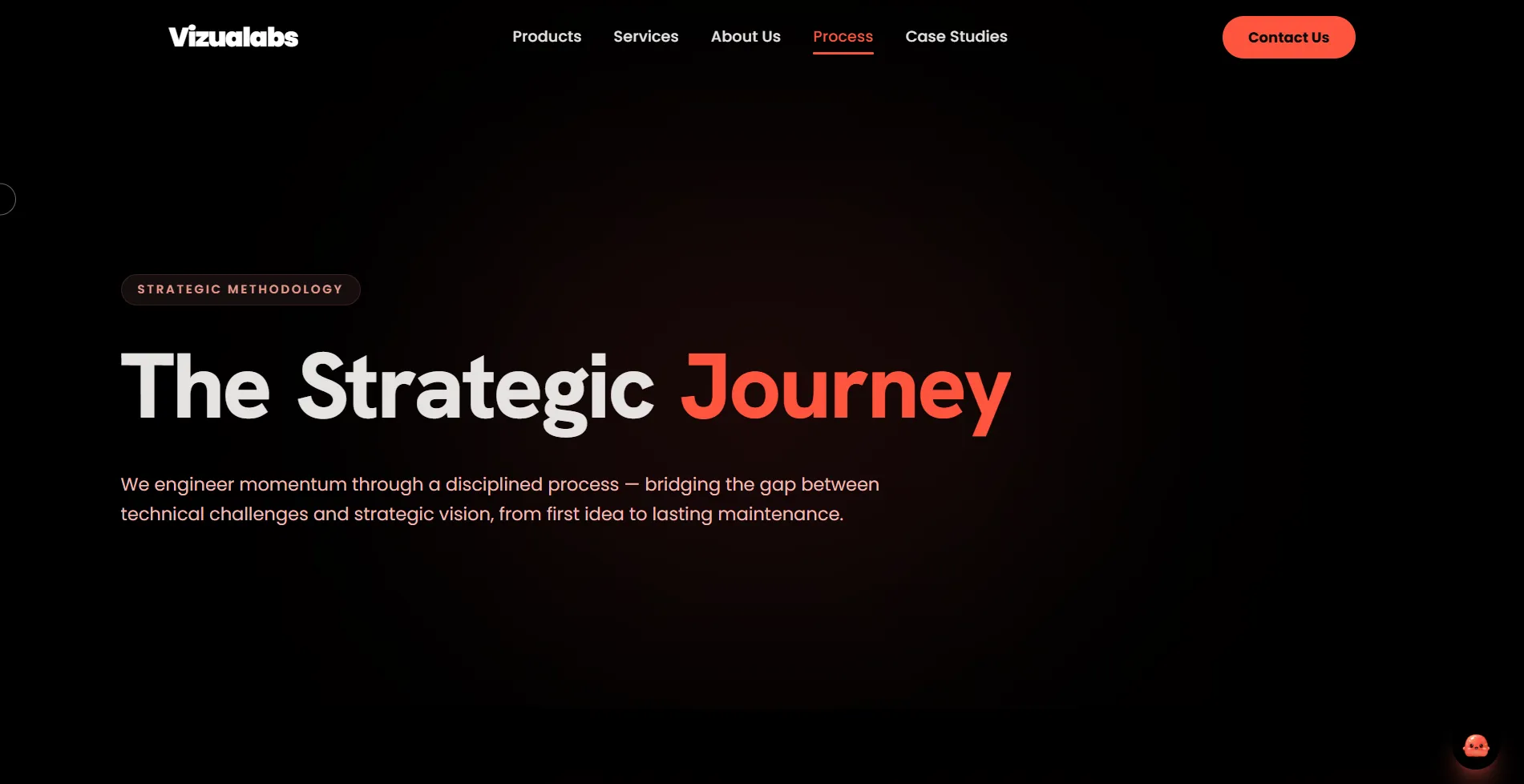Vizualabs strategic journey page